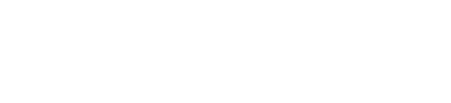 NST